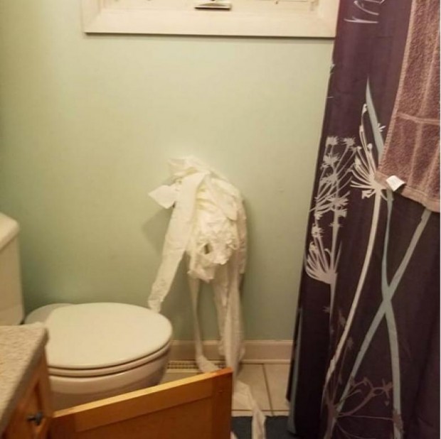 Tuvalet kağıdı ile savaşmış bir koca