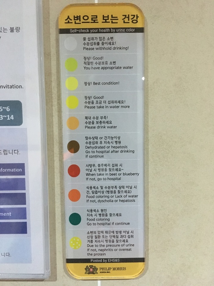 22. Philip Morris, Kore'de idrarınızın rengine göre size tavsiyeler veren tabela: