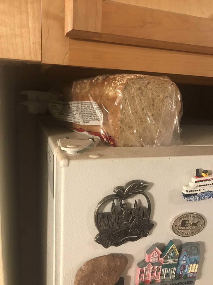 11. Ekmeğin taze kalmasını istiyorsanız buzdolabının kapağını kullanın.